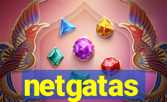 netgatas