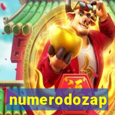 numerodozap