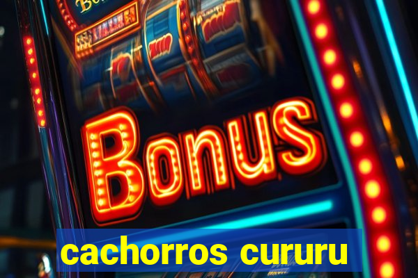 cachorros cururu