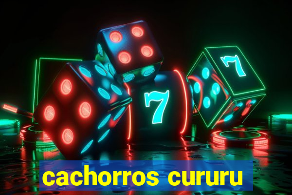 cachorros cururu