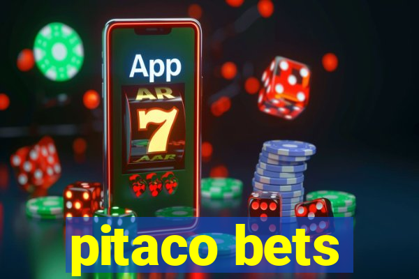 pitaco bets