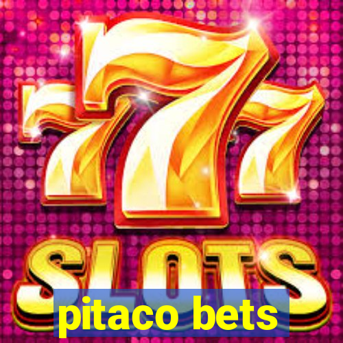 pitaco bets