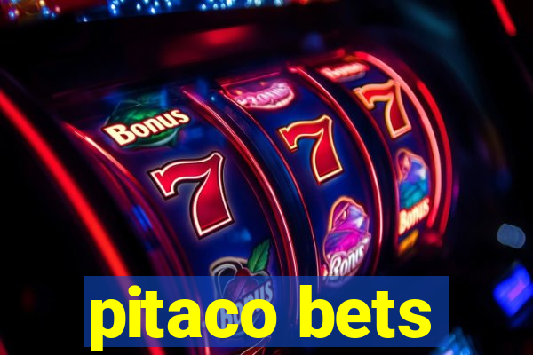 pitaco bets