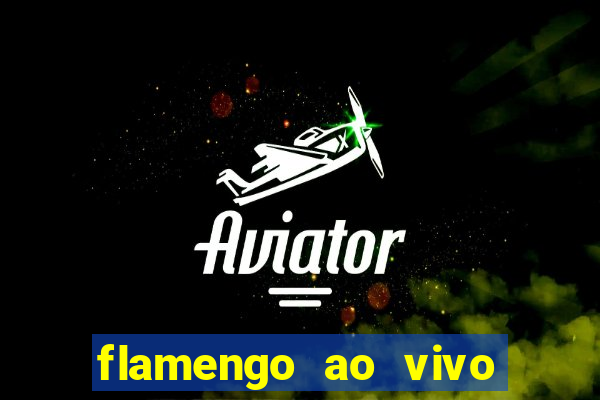 flamengo ao vivo multi tv