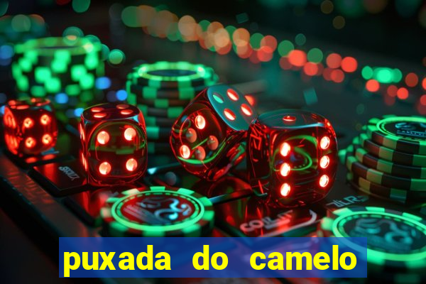 puxada do camelo jogo do bicho