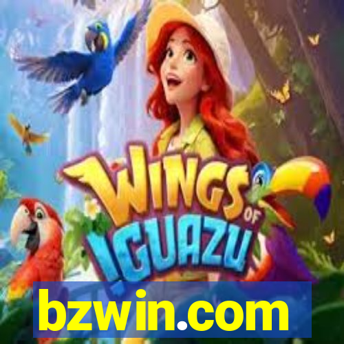 bzwin.com