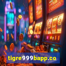 tigre999bapp.com