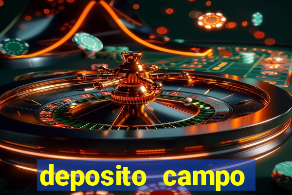 deposito campo grande santos