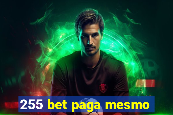 255 bet paga mesmo