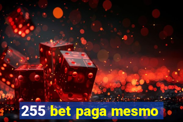 255 bet paga mesmo