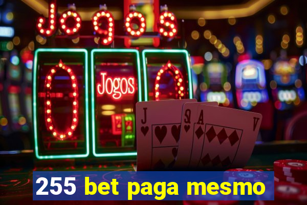 255 bet paga mesmo