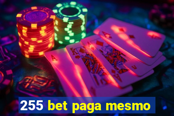 255 bet paga mesmo