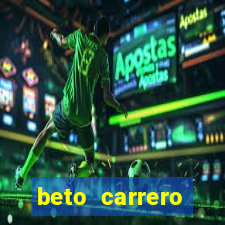 beto carrero cidades proximas