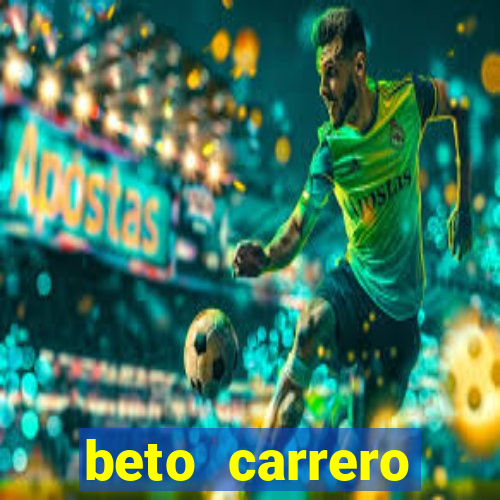 beto carrero cidades proximas