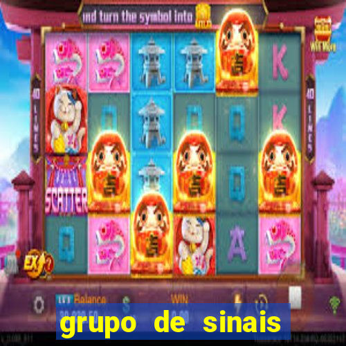 grupo de sinais trader telegram