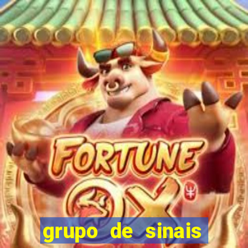 grupo de sinais trader telegram