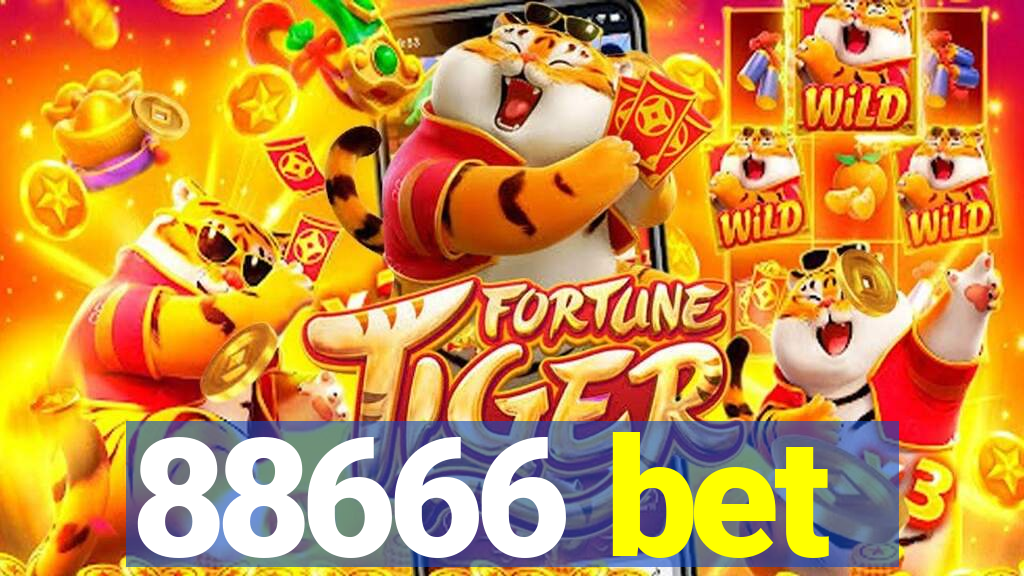 88666 bet