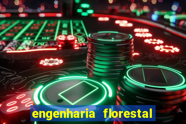 engenharia florestal ead cruzeiro do sul