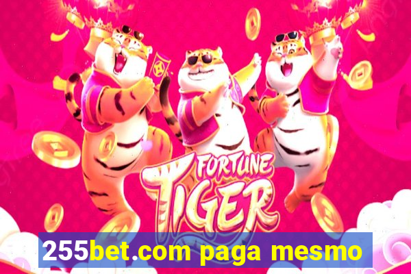 255bet.com paga mesmo