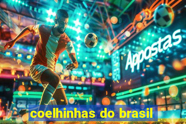 coelhinhas do brasil