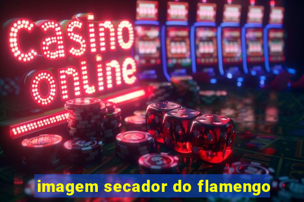 imagem secador do flamengo