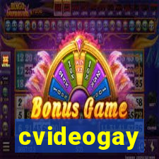 cvideogay